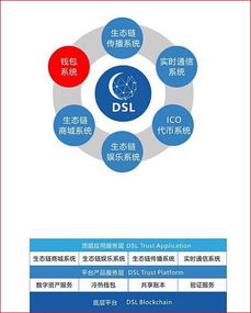 DSL國(guó)際兌付系統(tǒng) 區(qū)塊鏈3.0的真實(shí)落地應(yīng)用與網(wǎng)絡(luò)信息技術(shù)研發(fā)
